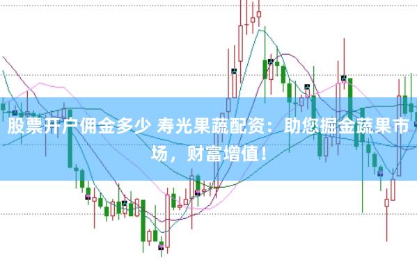 股票开户佣金多少 寿光果蔬配资：助您掘金蔬果市场，财富增值！