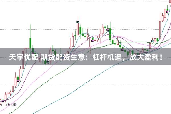 天宇优配 期货配资生意:杠杆机遇,放大盈利!