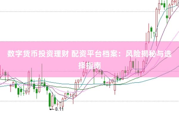 数字货币投资理财 配资平台档案：风险揭秘与选择指南